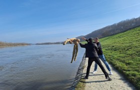 Zdjęcie dla aktualności: Pierwszy Dzień Wiosny w Koszczycu
