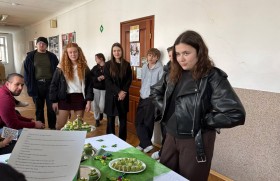 Zdjęcie dla aktualności: Dzień Św. Patryka 2026